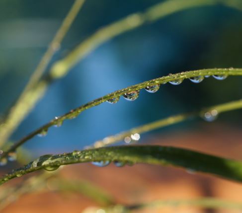 Ask A Climate Expert: Help Minnesota win the CocoRaHS Cup episode artwork