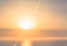 The Morning Show
